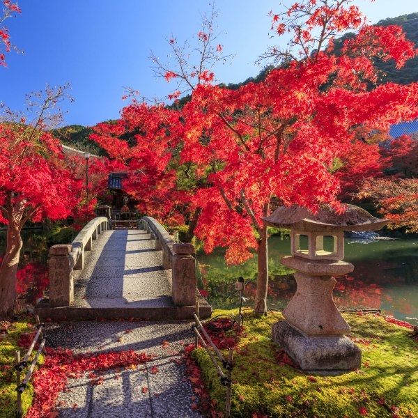 日本 2020 最受國外遊客喜愛的打卡勝地 Top 15 ，旅遊網站：第一名不是京都！？