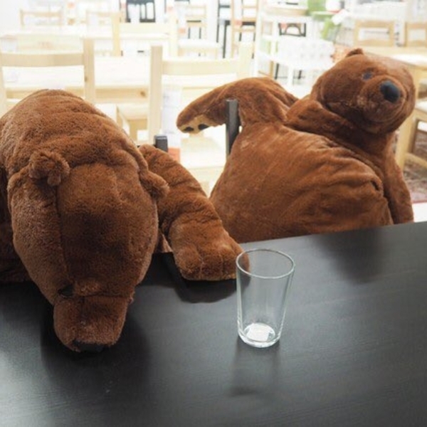 日本推特瘋傳「超厭世 IKEA 大熊玩偶」！繼鯊鯊之後的新寵，還有「這 5 款」爆紅療癒抱枕你有幾隻？
