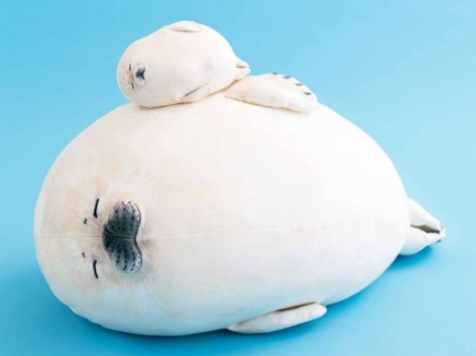 日本推出軟爛「側躺海豹寶寶抱枕」，兩隻疊在一起超治癒～