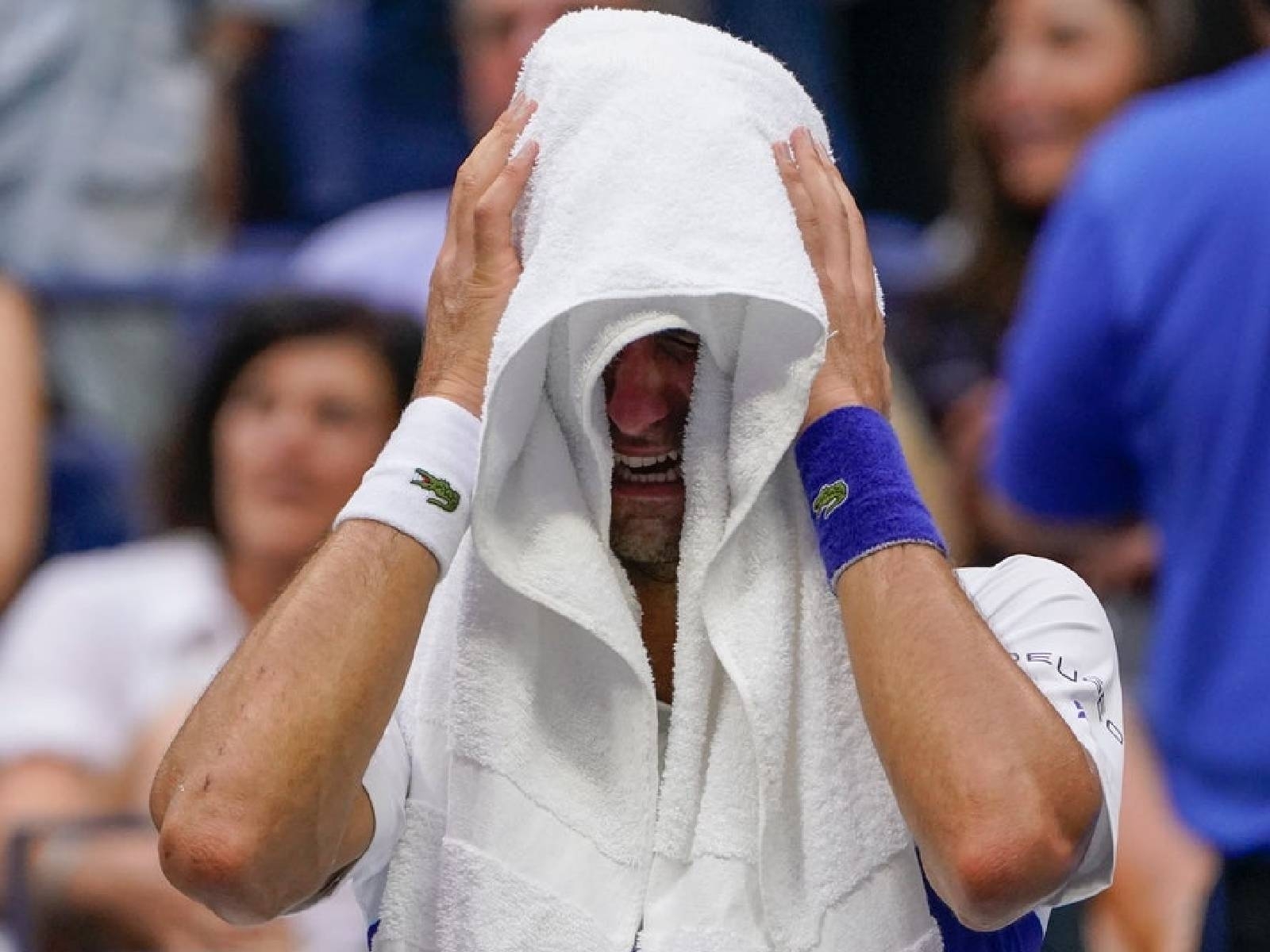 球王 Novak Djokovic 無緣美網金盃，坐場邊痛哭、用毛巾遮住落淚樣貌！