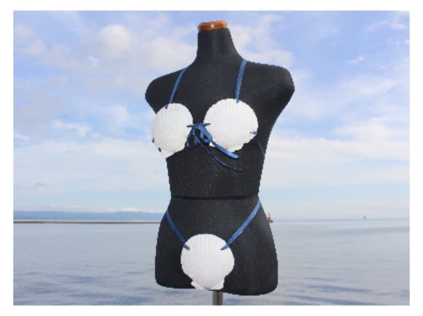 日本地方政府推出「三點式貝殼泳裝」推特爆紅，背後用意超暖心～