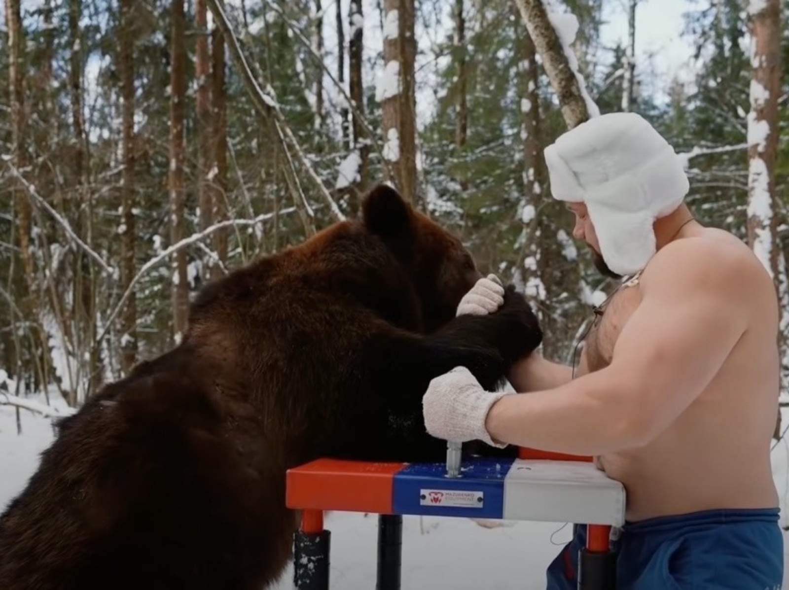 俄羅斯健力選手與棕熊挑戰腕力比賽，竟然還成功贏得這頭熊對手！