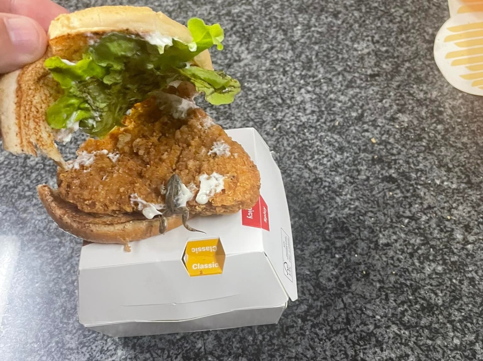 南非麥當勞漢堡內驚見「死青蛙」，顧客氣到 PO 網嘲諷：這就是「麥香蛙」