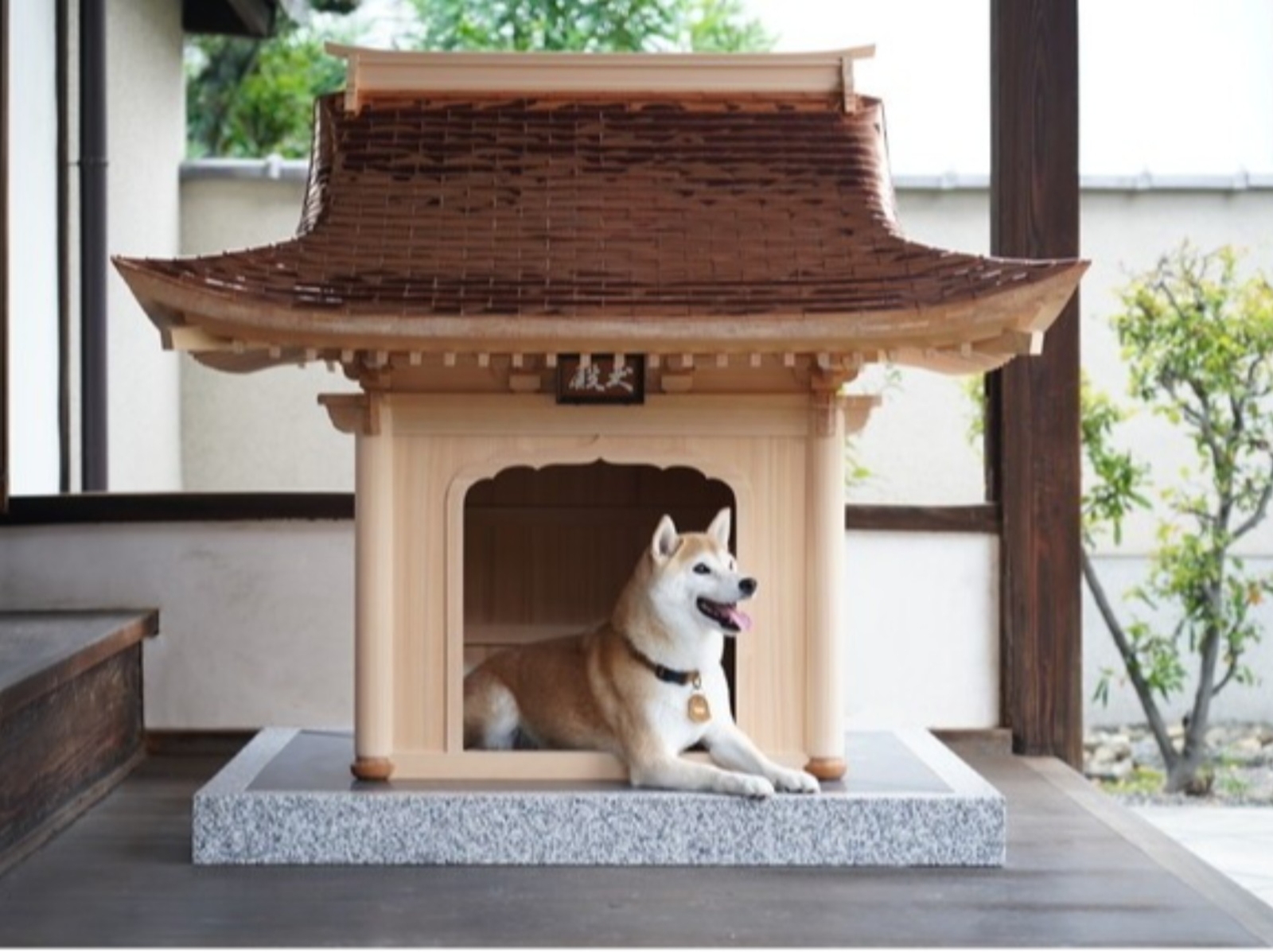 日本推出最高級狗屋「犬殿」，採用寺廟建造技術要價近 450 萬台幣！