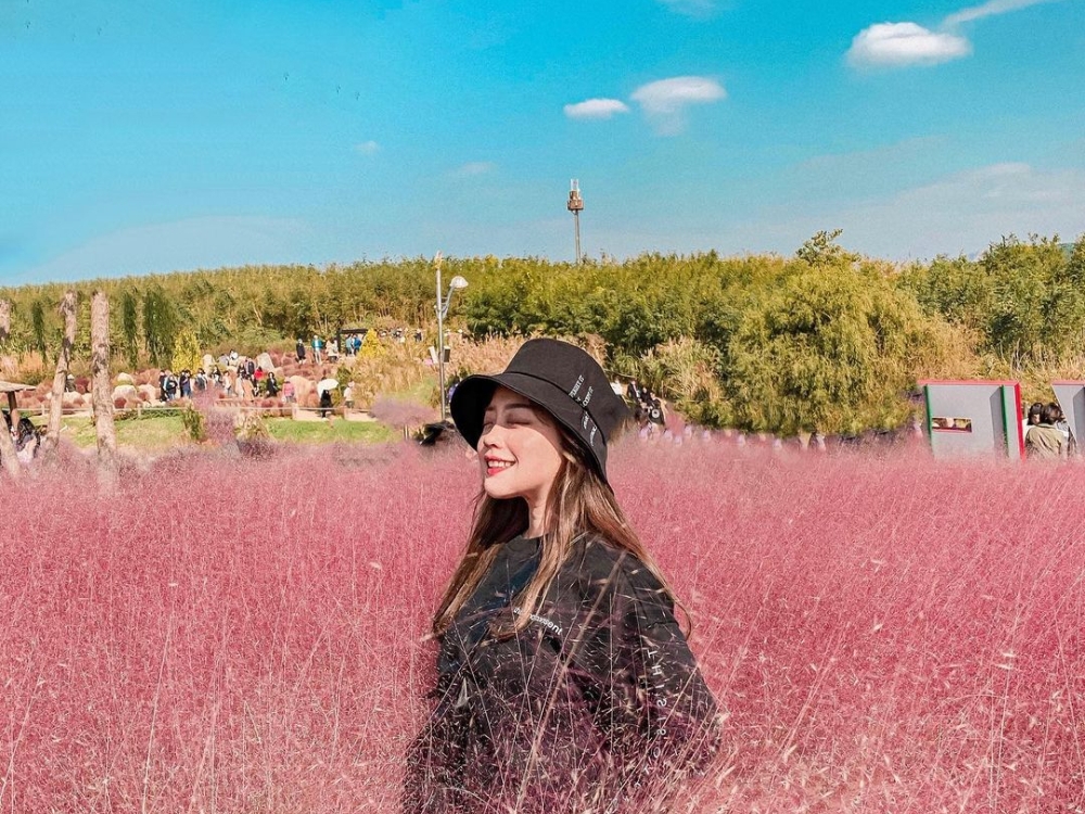 【街遊記】盤點韓國 5 個「粉黛亂子草」景點推薦，季節限定超浪漫「夢幻粉紅雲朵」首爾、釜山都能看到！