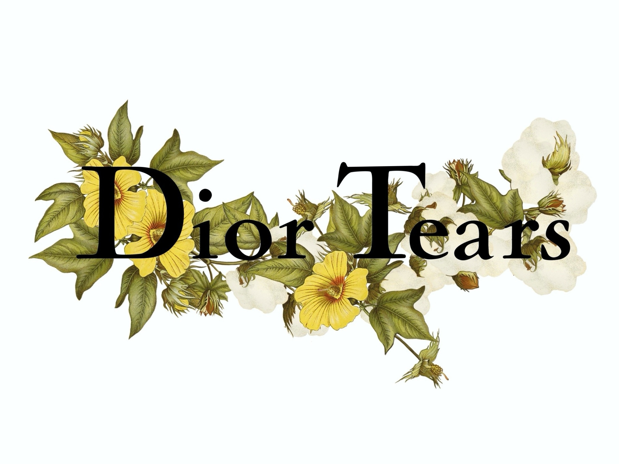 Dior 確定攜手 Denim Tears 發表「Dior Tears」聯名，這個備受 Virgil Abloh 愛戴的街牌你還不認識？