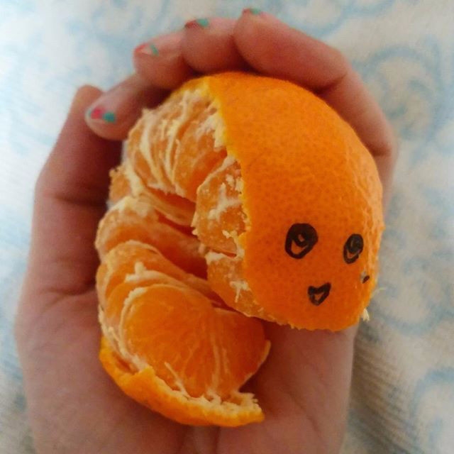 日本網友的新遊戲「橘子毛毛蟲」　到底是可愛還是噁心呢？