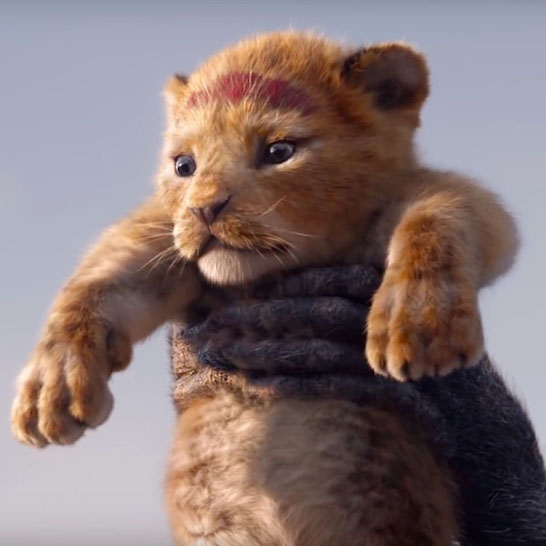世界上最多人看的獅子！《獅子王》前導預告打破迪士尼紀錄　獲 2.2 億點擊僅次於《復仇者3》！