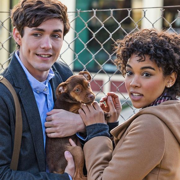 你最期待哪一部？2019 年武打、療癒 3 部「萌犬電影」大特蒐　地表最殺愛犬人士即將回歸！