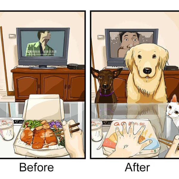 吃便當的時候總有「人」在旁虎視眈眈！養狗前 vs.養狗後 8 張超中肯插畫