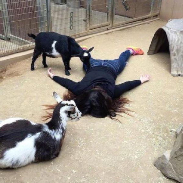 太魔性！女孩堅持拍攝「躺屍」觀光紀念照爆紅　網友笑翻：像是死在了世界各地景點！