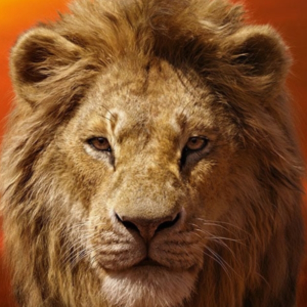 「拜託各位不要帶小孩去看《獅子王》！」網友臉書真心話告白 被全球家長推爆啦！