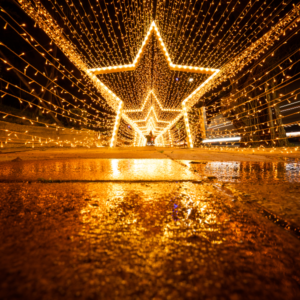 全年最期待的節日！全台最大最豪華的聖誕燈區就在高雄夢時代