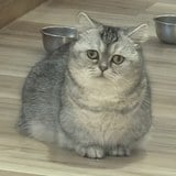阿龔