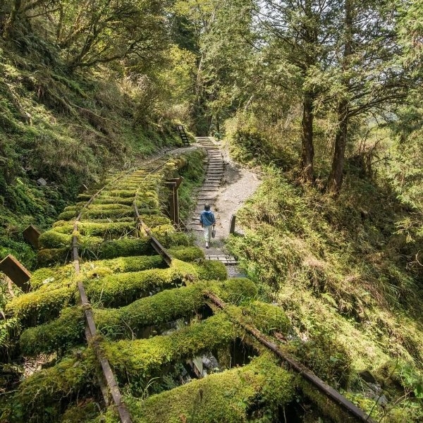 【宜蘭．徑】全球最美秘境步道 這個角度最好拍
