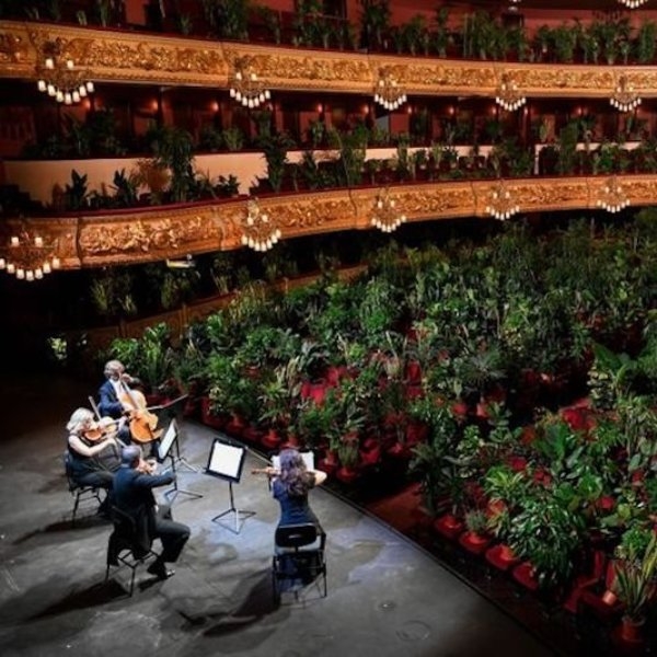 巴塞隆納防疫期間舉辦音樂會，觀眾是 2292 棵植物盆栽！