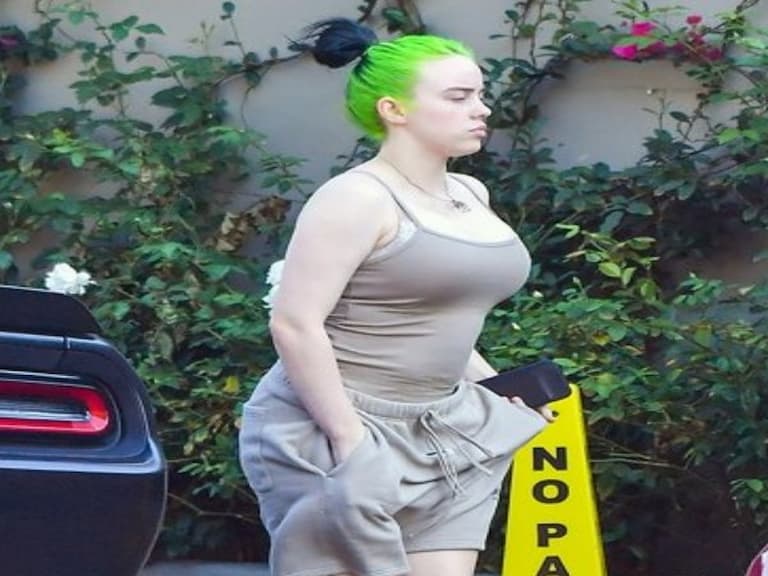 酸民攻擊 Billie Eilish 最新街拍身材大走樣,歌迷霸氣回嗆:「除了待在外面的白痴,今年誰沒變胖?」