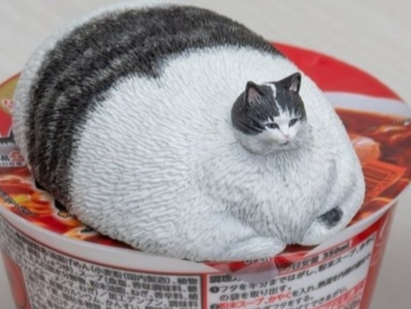 日本模型神人製作獵奇治癒系「超胖貓咪」壓泡麵公仔，逗樂網友：給你錢讓我買！