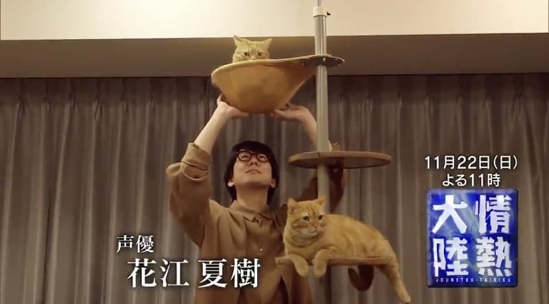 9 年前還只能配音路人 鬼滅之刃 炭治郎聲優 花江夏樹 高人氣登上情熱大陸 Juksy 街星