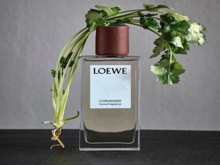 香菜控的勝利？L:A BRUKET、Loewe⋯這些國際知名品牌都推出「香菜香氛」，竟出乎意料的清新好聞？