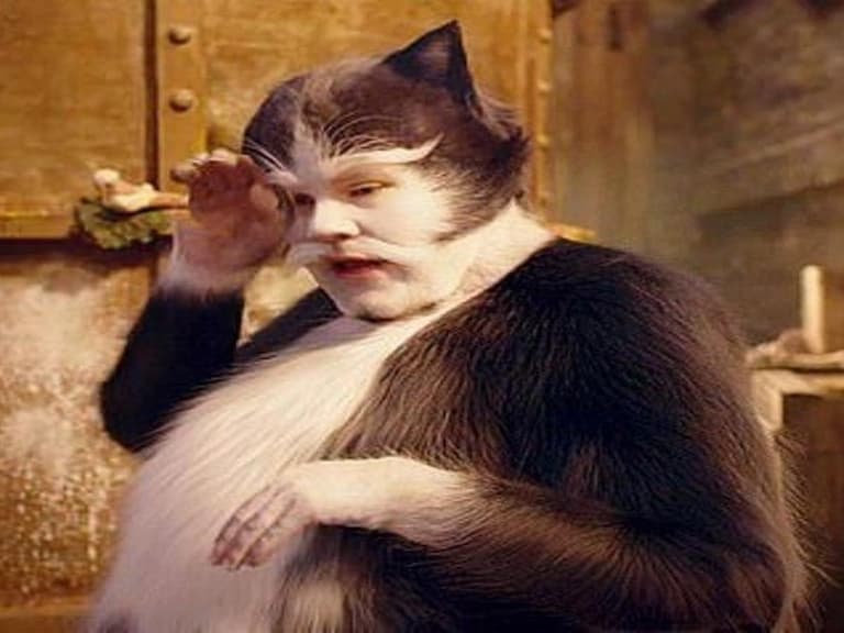 主持人柯登風光入圍金球獎,被狂吐槽:還好不是靠《CATS 貓》電影入圍的!