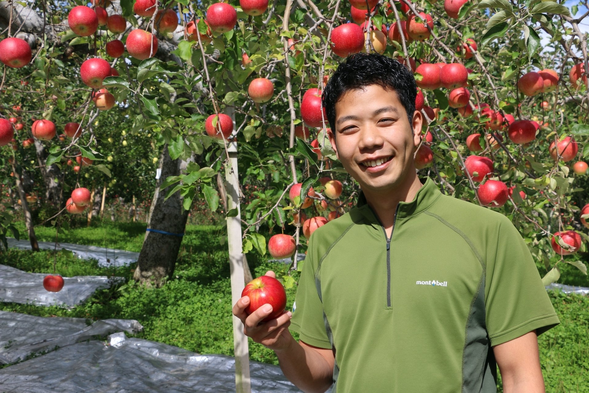 不能出國的救星！日本農業株式會社，創新農業型態水果直輸臺灣！