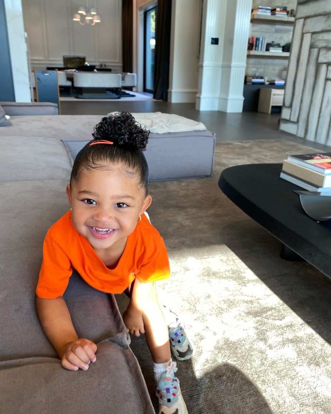 Travis Scott Stormi