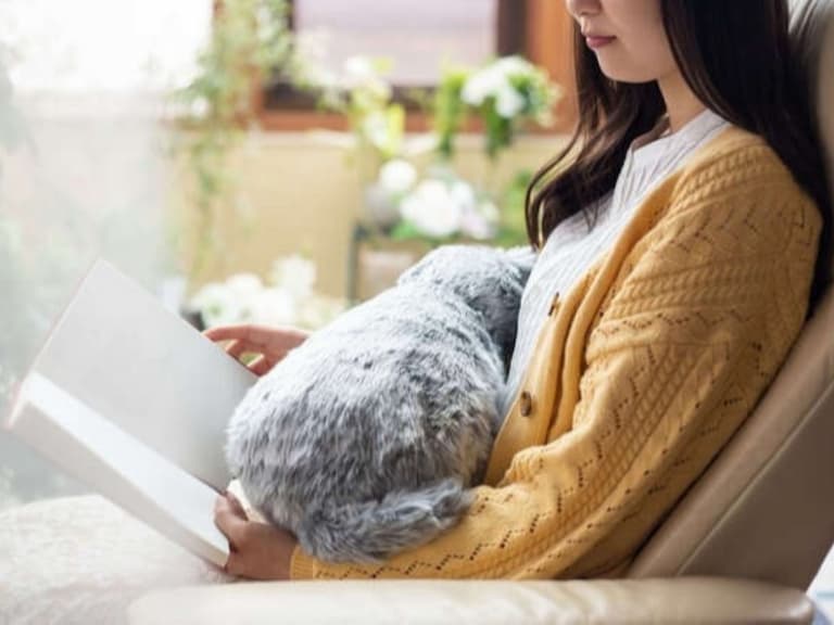 防疫在家好無聊？日本設計師推超逼真「熟睡貓型抱枕」，擼貓竟會發出呼嚕呼嚕聲？！