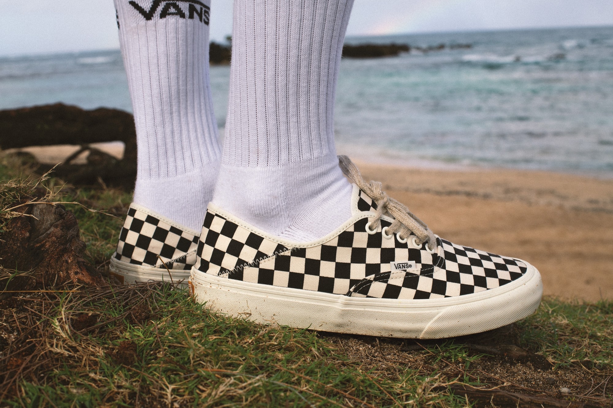 永續環保精神入魂!VANS ECO THEORY 系列全新發售!