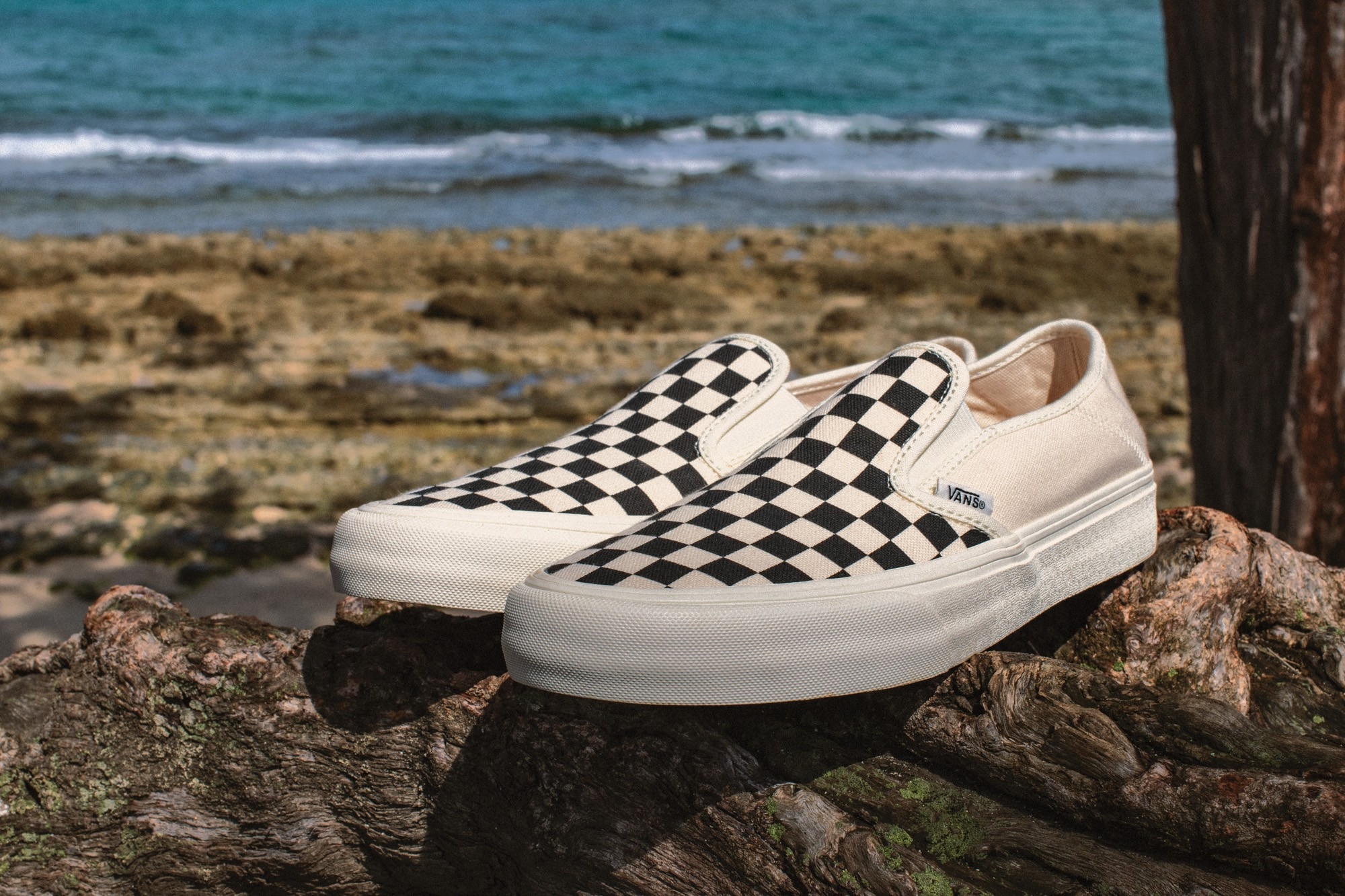 永續環保精神入魂!VANS ECO THEORY 系列全新發售!