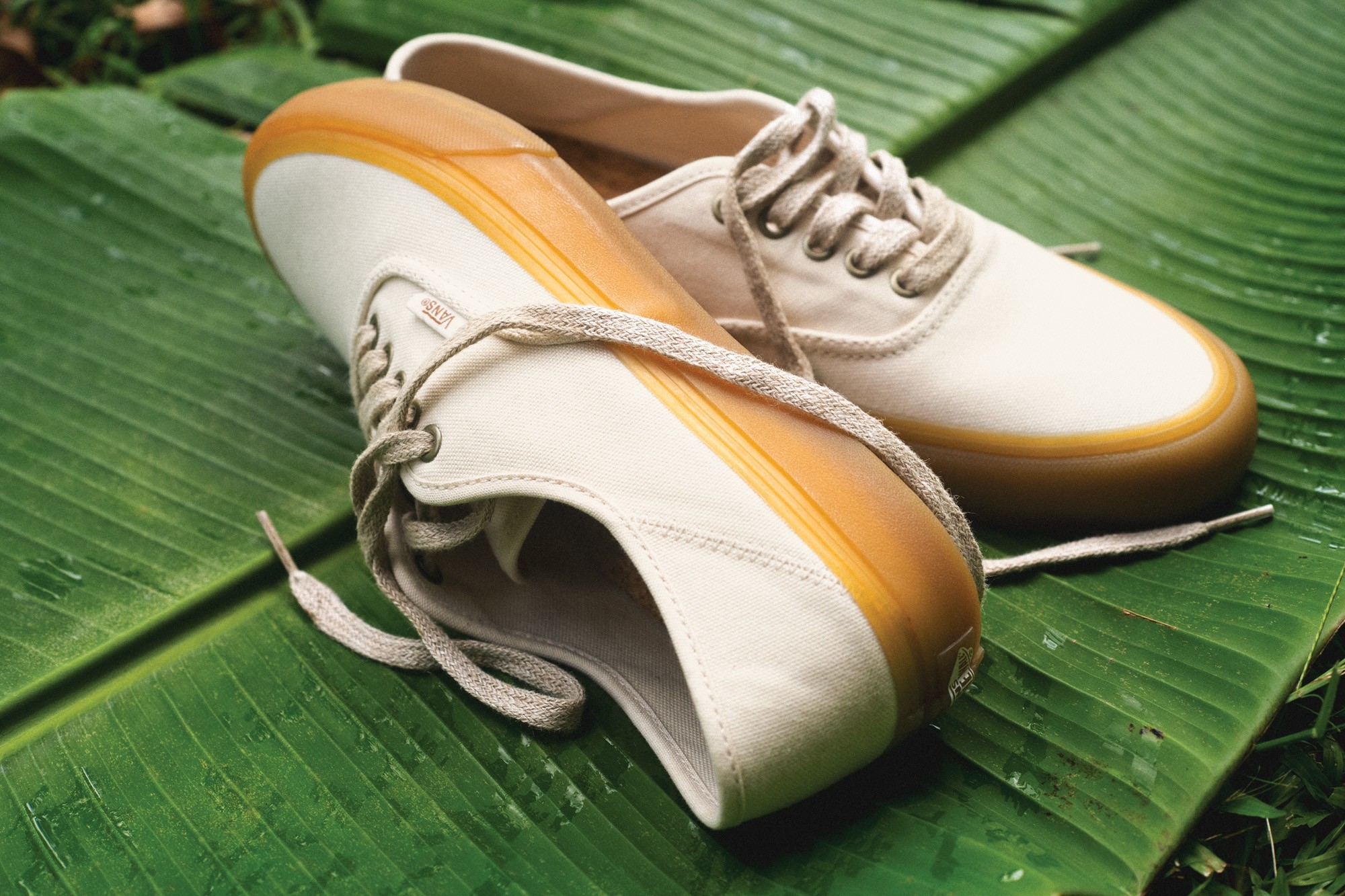 永續環保精神入魂!VANS ECO THEORY 系列全新發售!