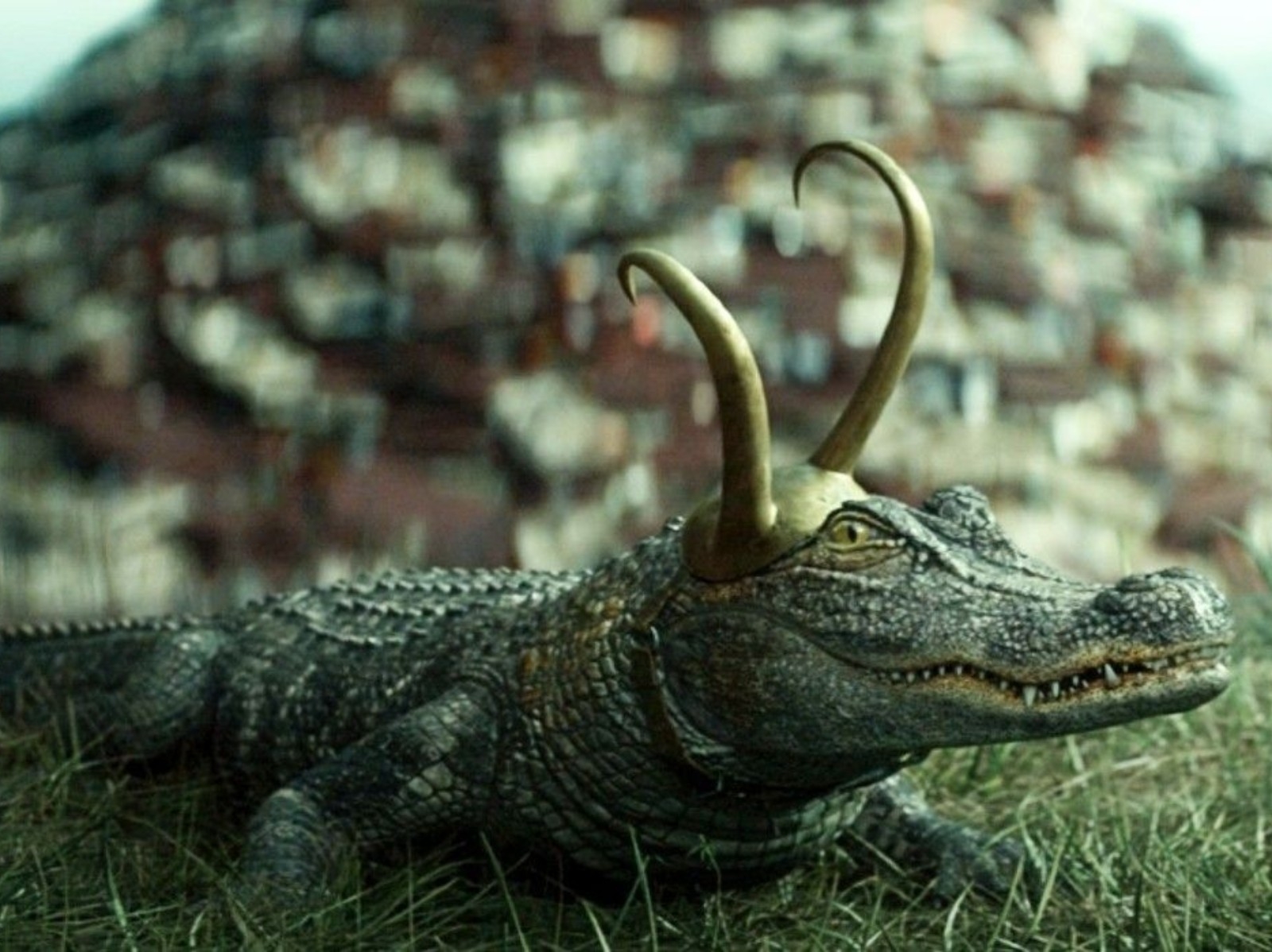 湯姆希德斯頓《洛基》鱷魚大爆紅，漫威官方曝光「幕後休息照」笑翻網友！