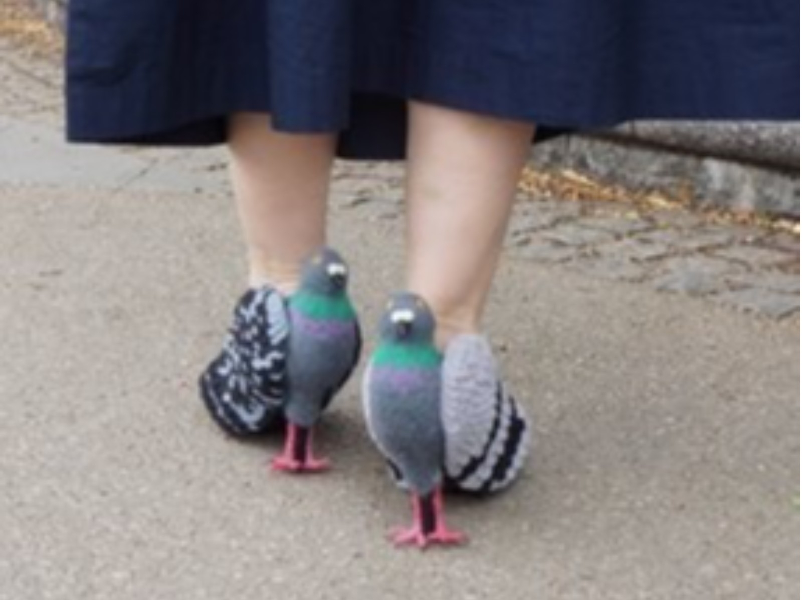 超獵奇！日本寫實度超高「鴿子高跟鞋」爆紅，模特兒親自去公園會鳥！