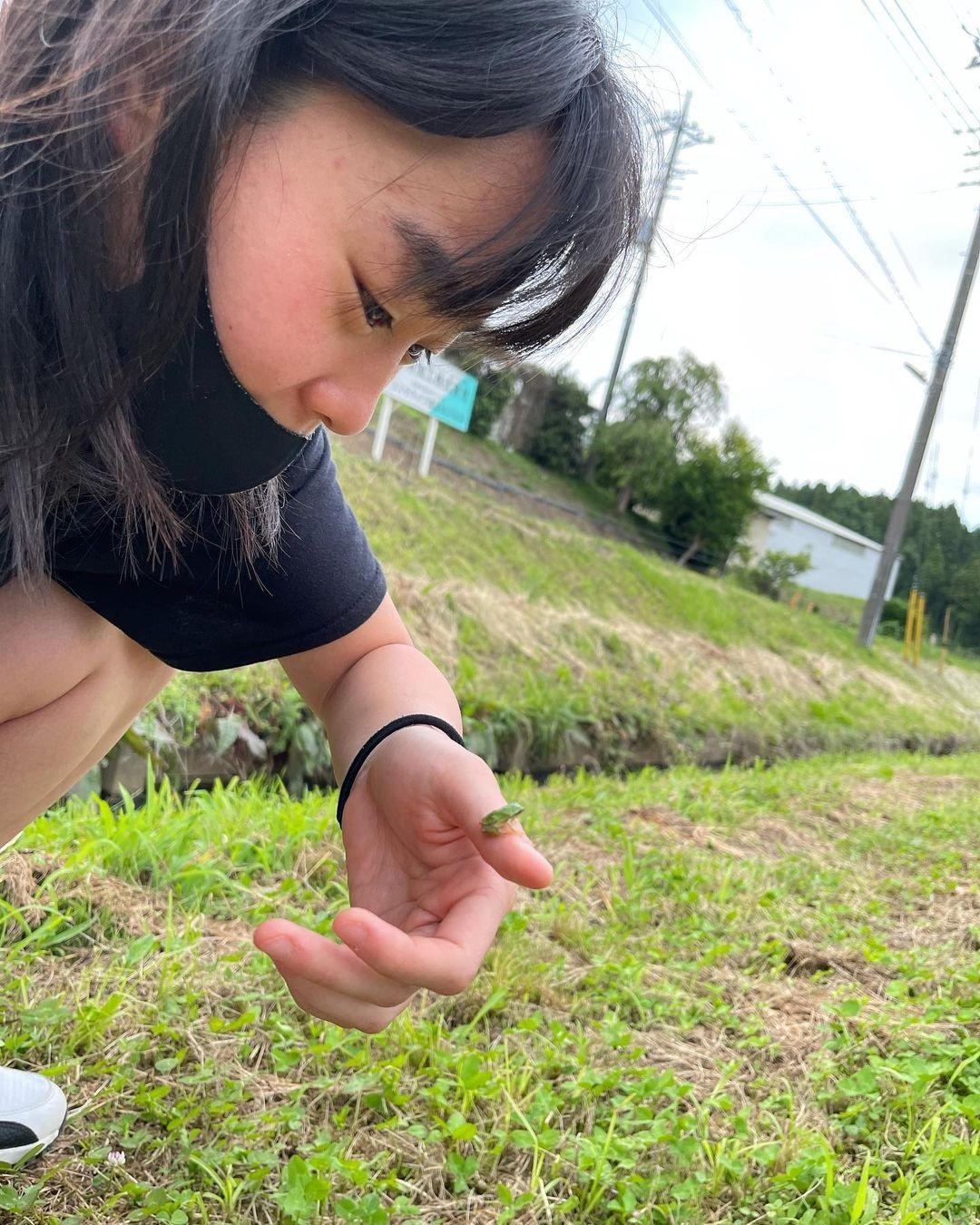 入江聖奈和小青蛙