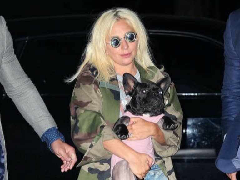 身中 4 槍遛狗員泣訴「感覺被拋棄」，但維護巨星「這錯不怪給 Lady Gaga」！
