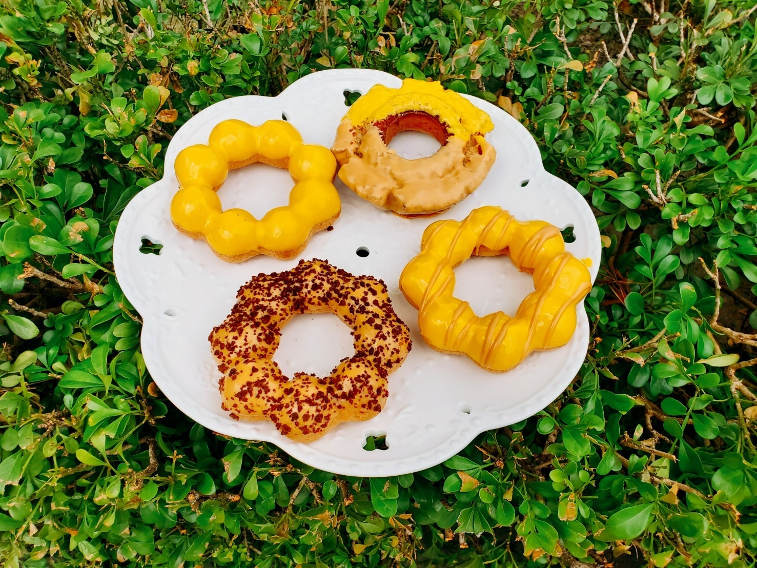 Mister Donut 寶可夢甜甜圈