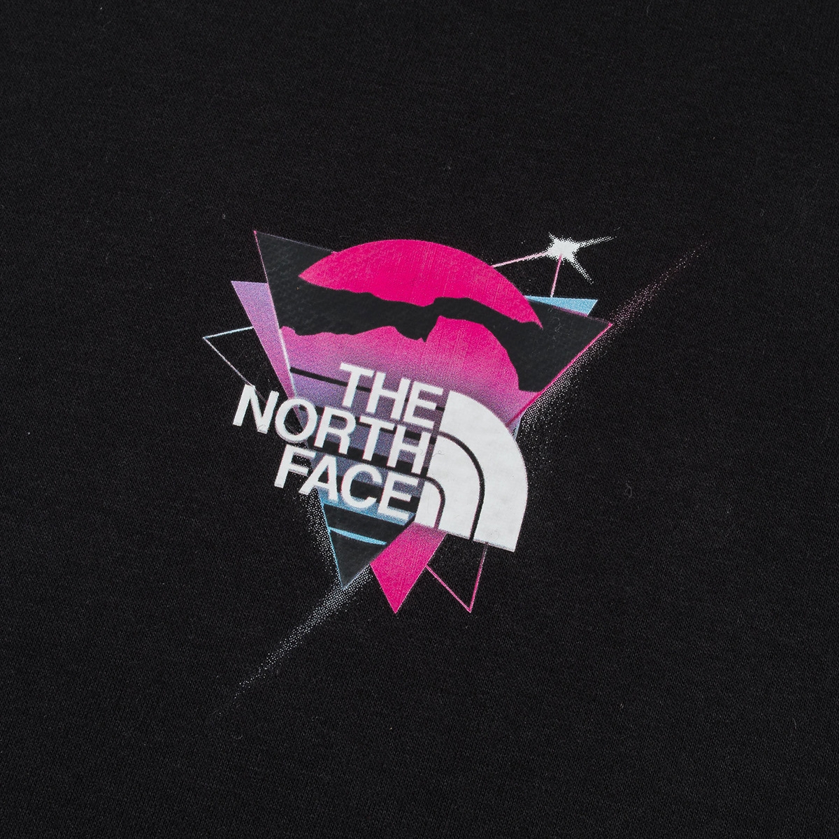 INVINCIBLE x The North Face