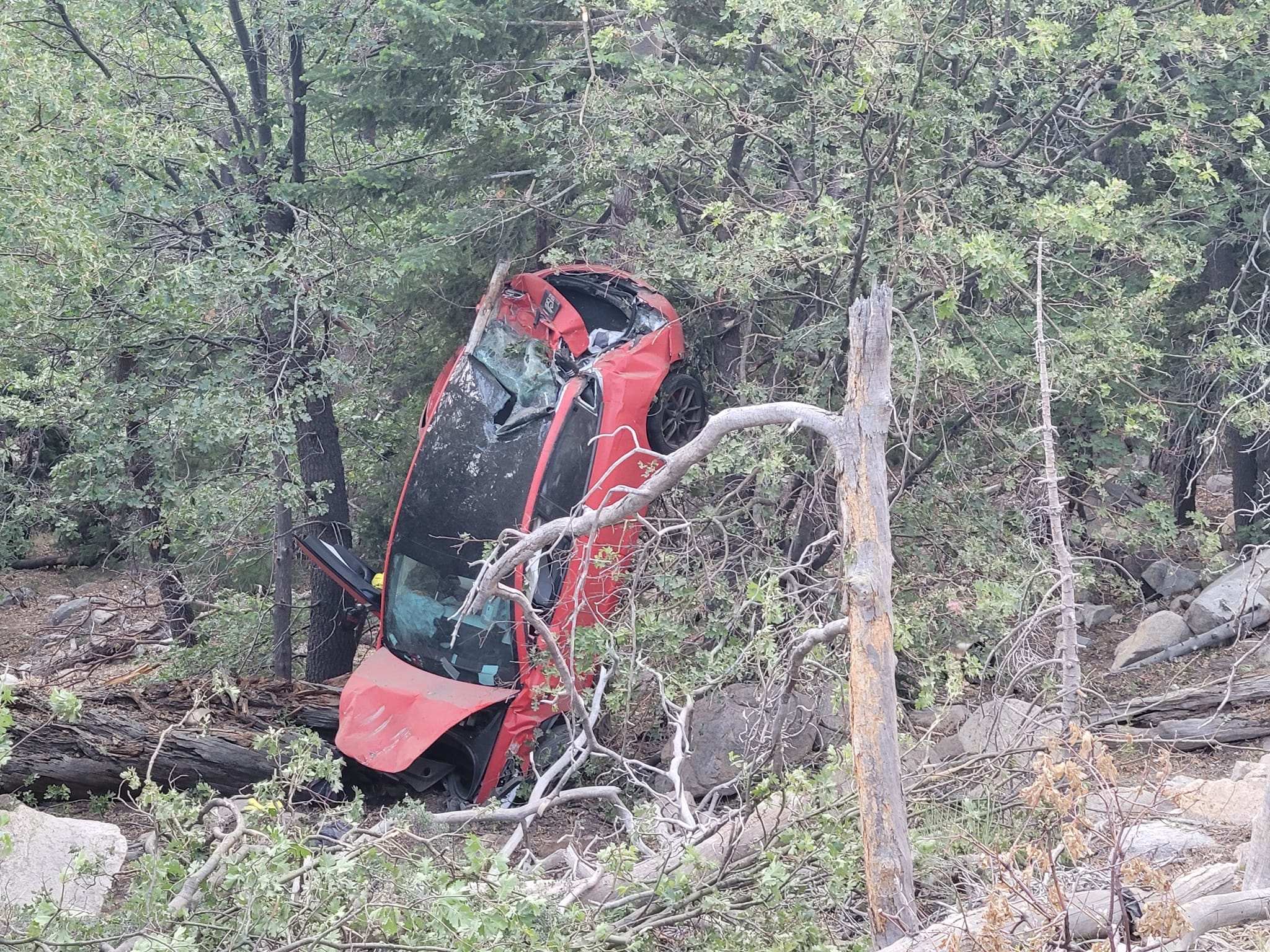 特斯拉電動車在山腰呈現垂直狀態