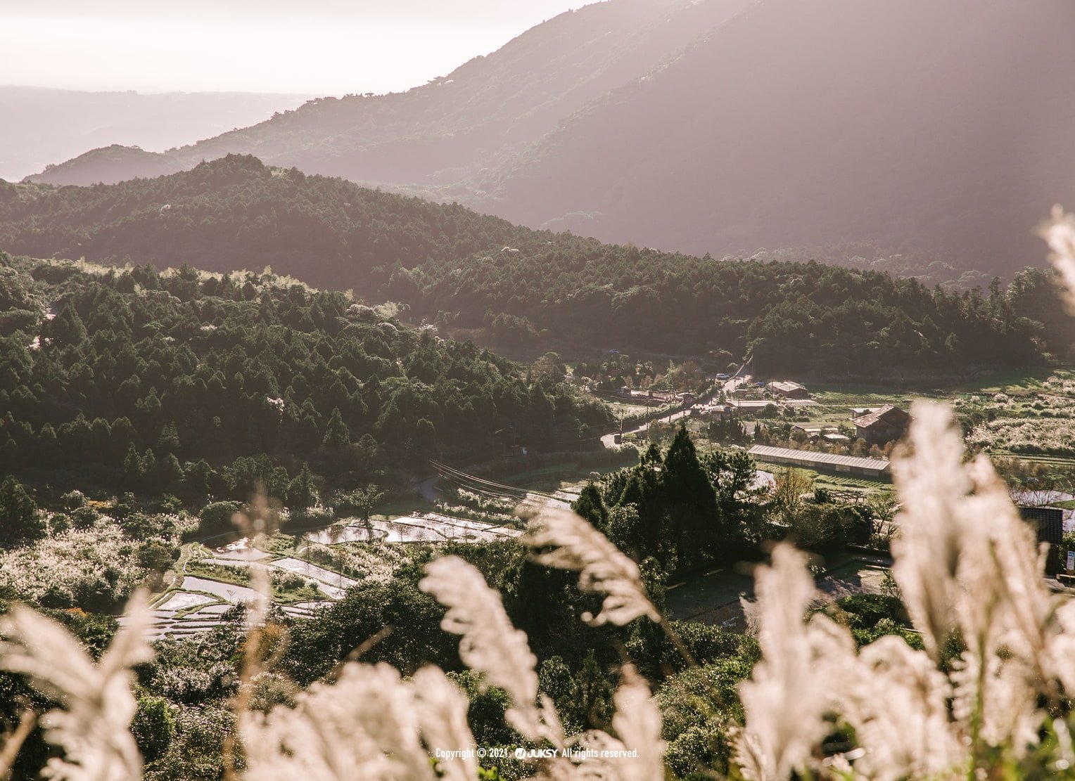 陽明山