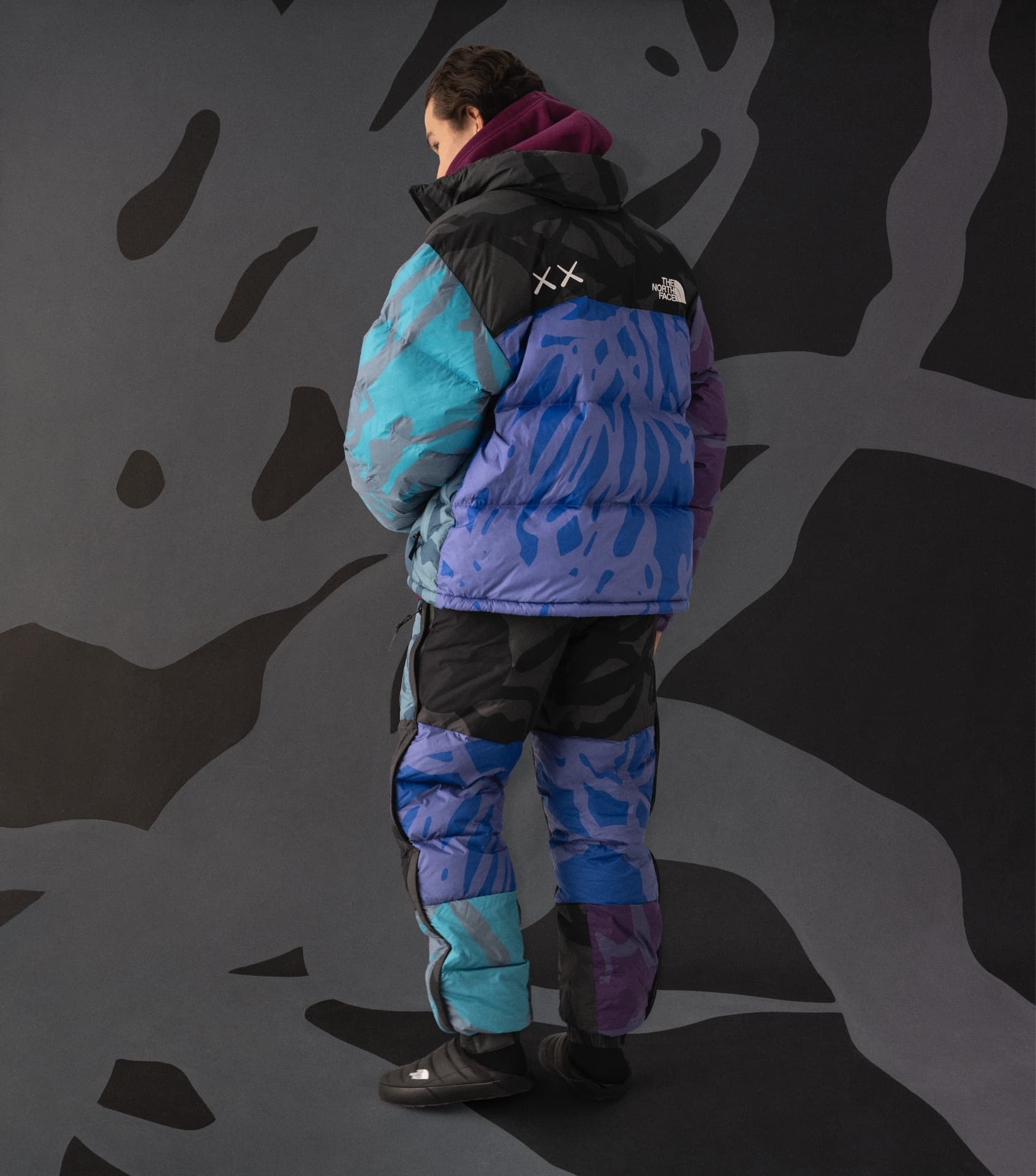 The North Face KAWS