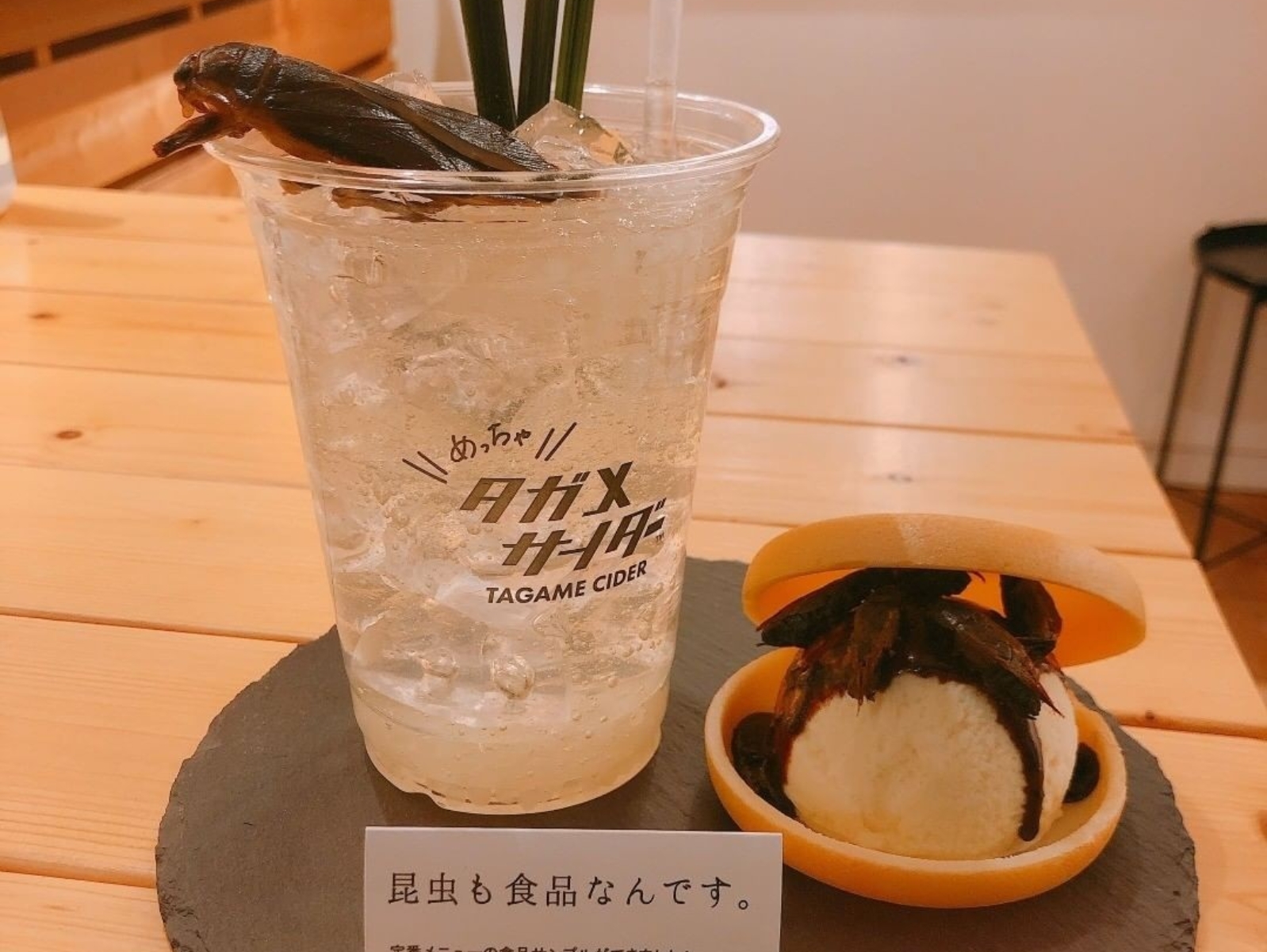 日本網美版山產店「專賣昆蟲料理」的獵奇咖啡廳，居然還有「加了蟑螂的咖哩」！
