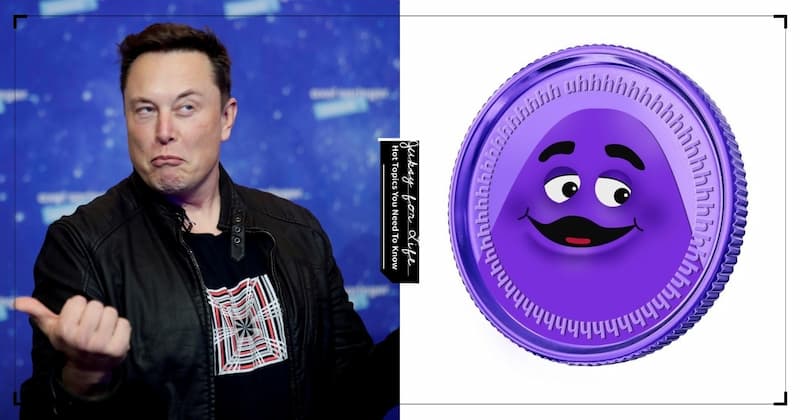 伊隆馬斯克（ Elon Musk ）、鬼臉幣