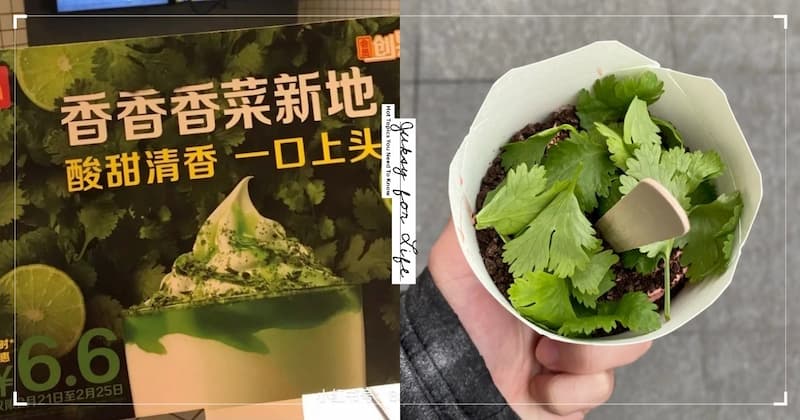 中國麥當勞推「香菜冰炫風」