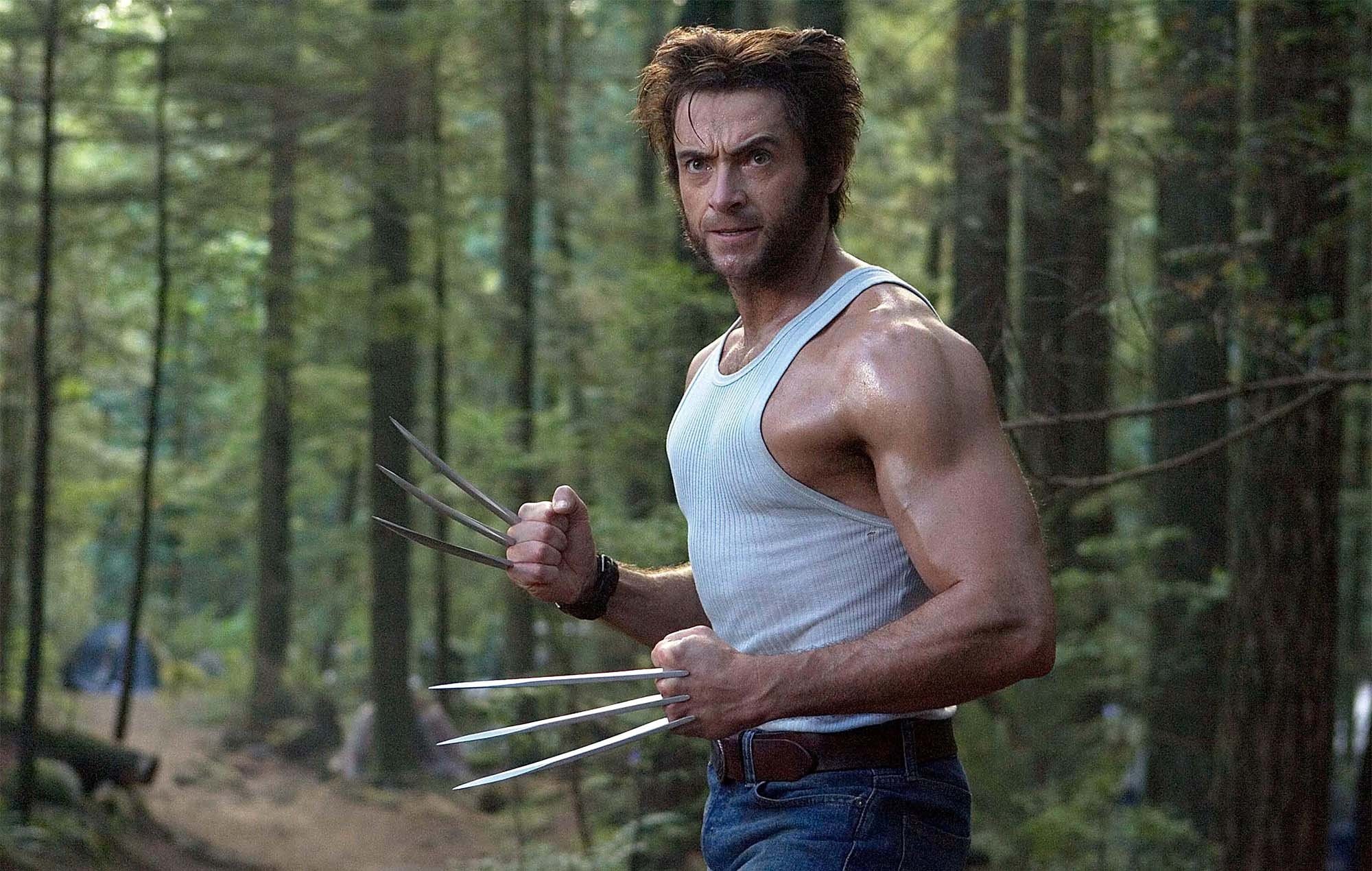 wolverine