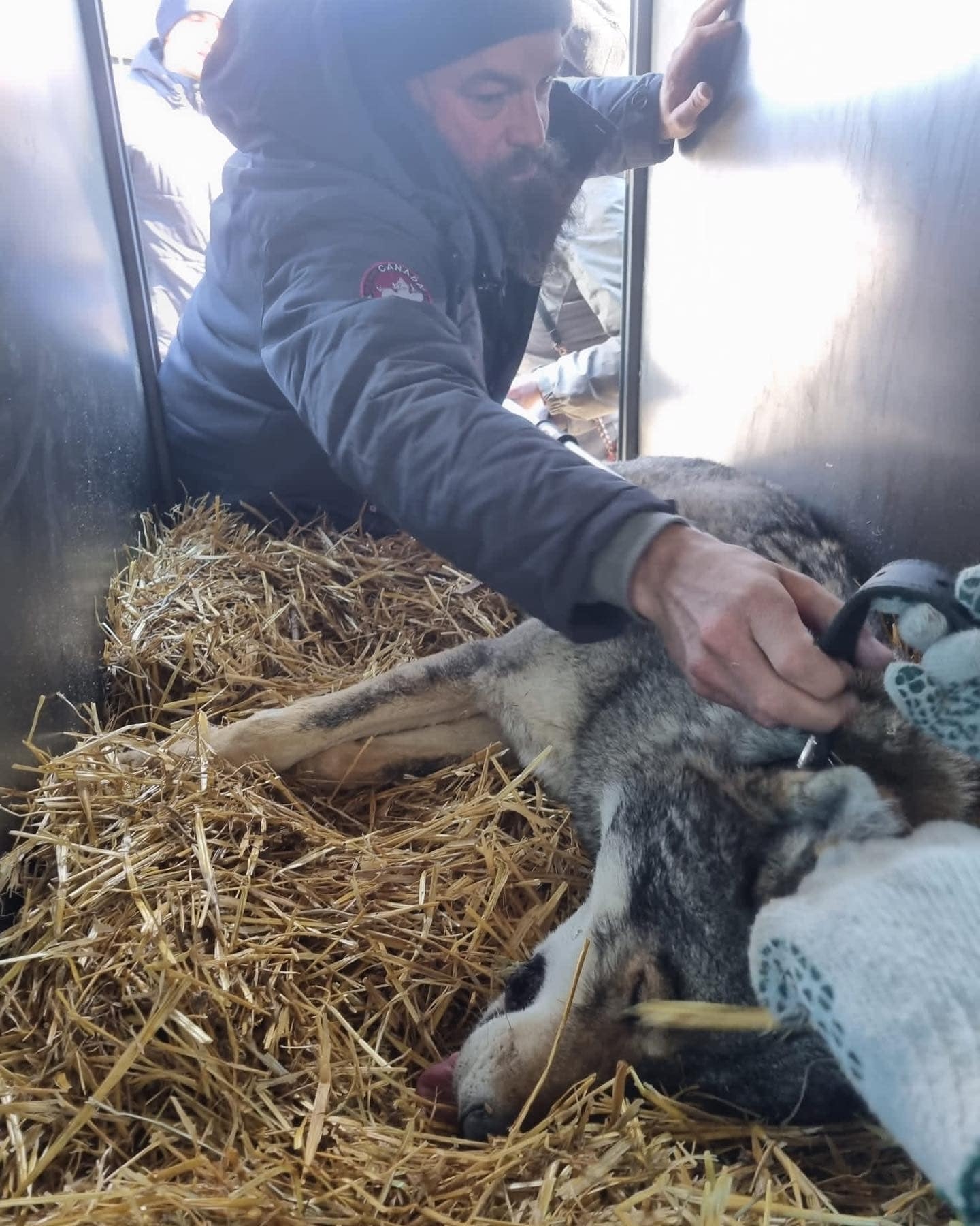 英男無畏戰火前往烏克蘭，只為救出受困動物園中的動物們