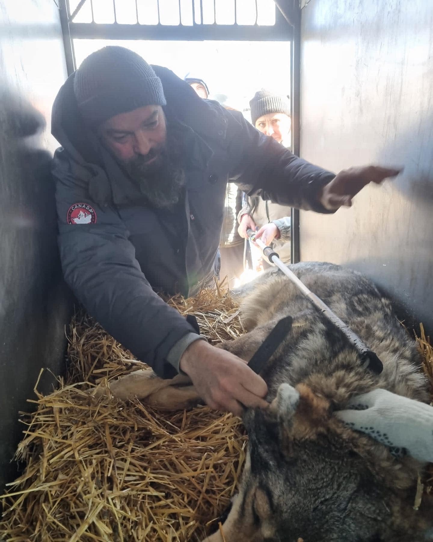 英男無畏戰火前往烏克蘭，只為救出受困動物園中的動物們