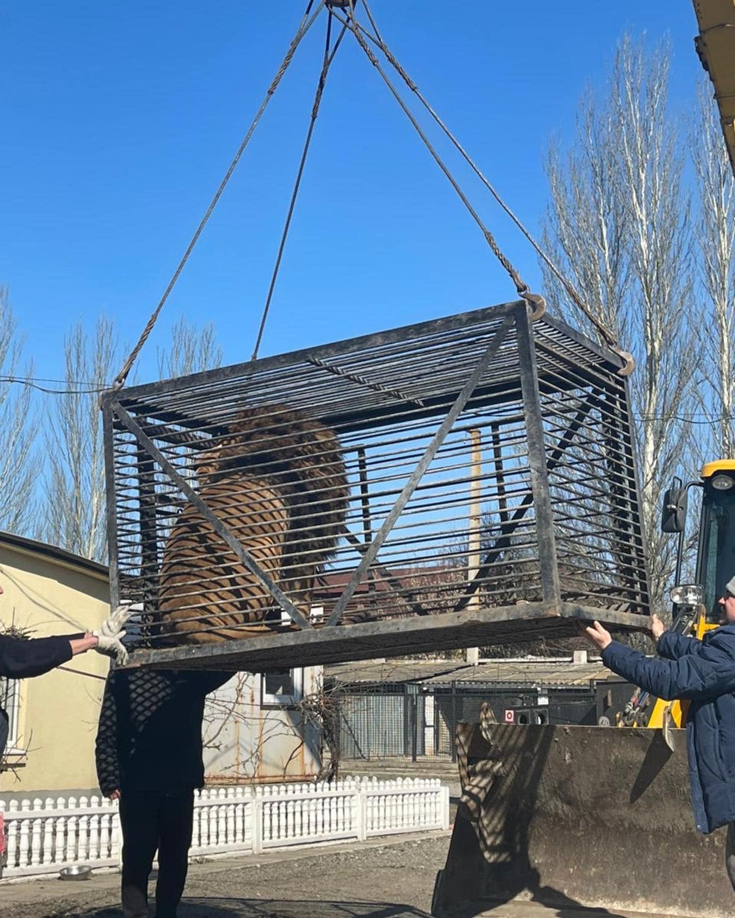 英男無畏戰火前往烏克蘭，只為救出受困動物園中的動物們