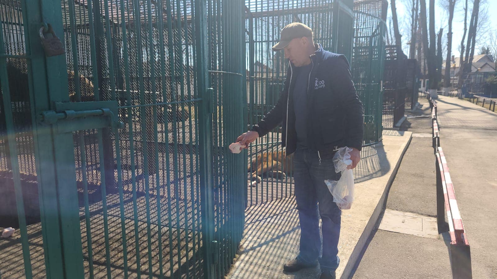 救出的動物被安置在羅馬尼亞的動物園