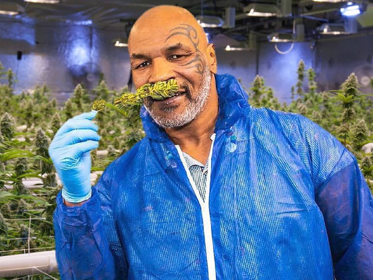 「拳王泰森」Mike Tyson 自曝 11 天花 1.5 億台幣，過往更花百萬照料孟加拉虎、擲千萬買黃金浴缸！