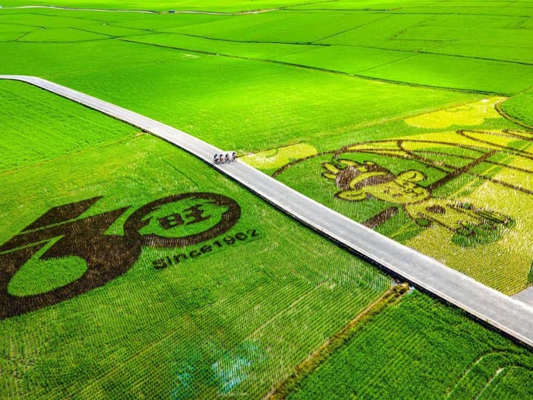 宜蘭版伯朗大道！三奇美徑「彩繪稻田」Q 萌小鹿出沒，期間限定打卡景點別錯過！